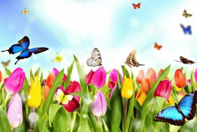 Flowers jigsaw puzzle