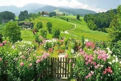 flores