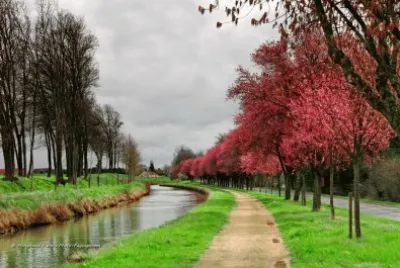 canal de l 'Ourq