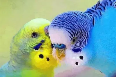 natural