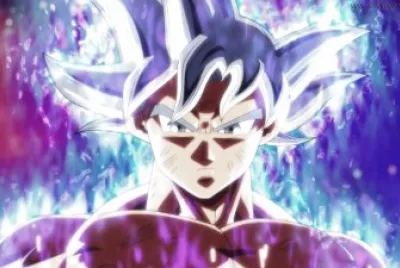 ultra instinct jigsaw puzzle