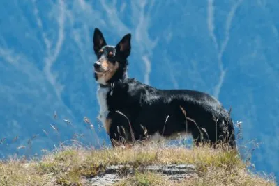 Tina
