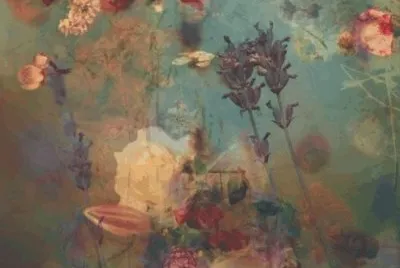 פאזל של Flowers