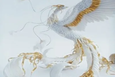 פאזל של Birds