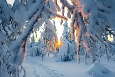 imagem jigsaw puzzle