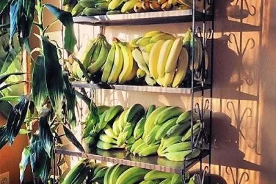 frutas