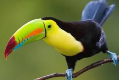 ghj