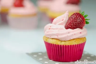 cupcakes jigsaw puzzle