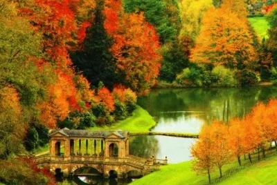 naturaleza