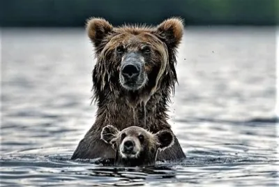 mom#289
