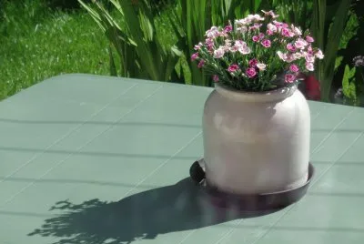 flowers jigsaw puzzle