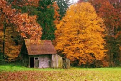 naturaleza jigsaw puzzle