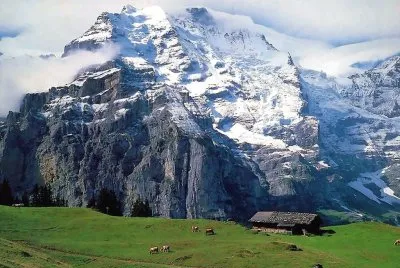 naturaleza jigsaw puzzle