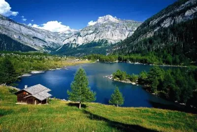 naturaleza jigsaw puzzle