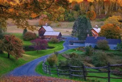 naturaleza jigsaw puzzle