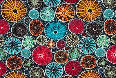 VoilÃ  jigsaw puzzle