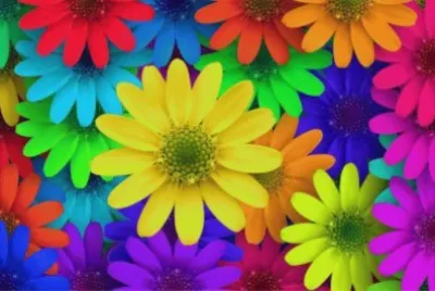 ç¾Žéº—è‰²å½© jigsaw puzzle