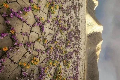 natural