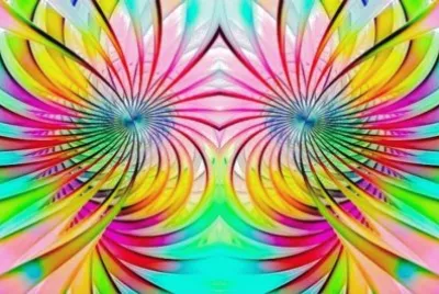 å°ç¨±èŠ±æ¼¾