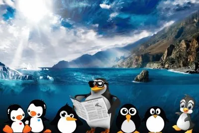 Pingouins