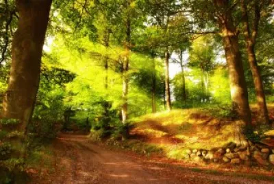 naturaleza