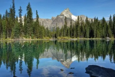 naturaleza