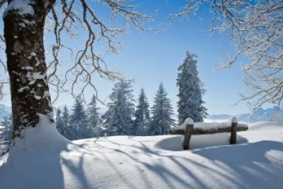 naturaleza