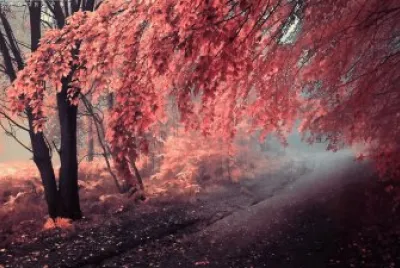 naturaleza