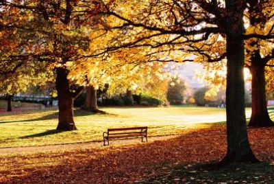 naturaleza