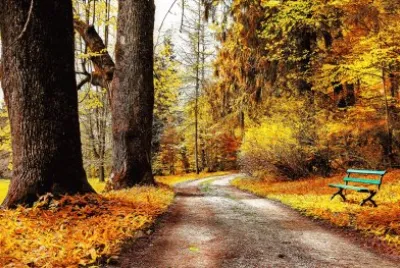 naturaleza