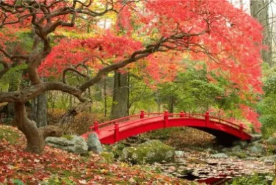 naturaleza