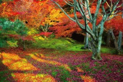 naturaleza