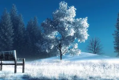 naturaleza