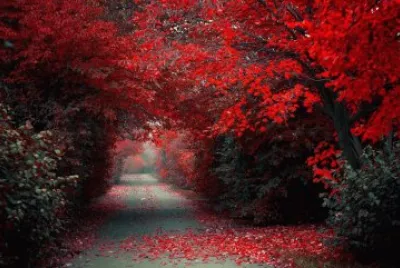 naturaleza