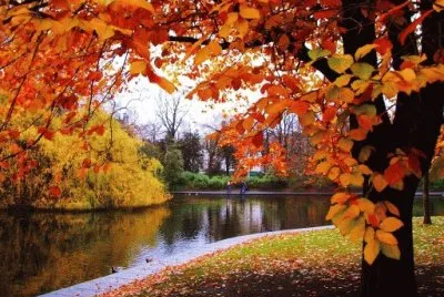 naturaleza