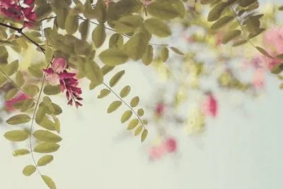 Flowers jigsaw puzzle