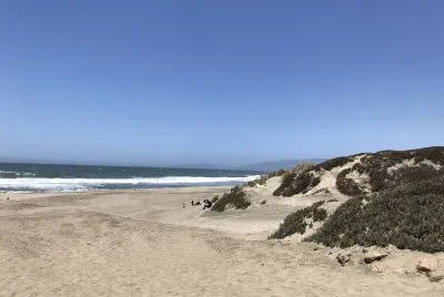 Ocean Beach
