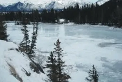 Snow jigsaw puzzle
