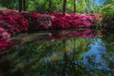 London jigsaw puzzle