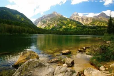 naturaleza jigsaw puzzle