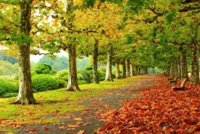 naturaleza