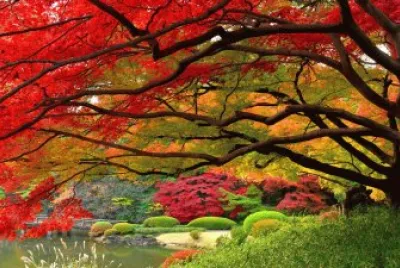 naturaleza