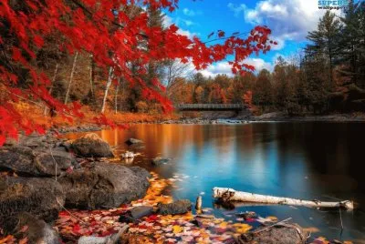naturaleza