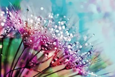 Colors