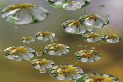 פאזל של Abstract
