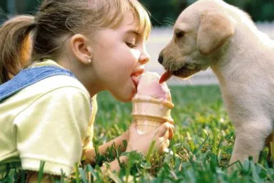 HELADO