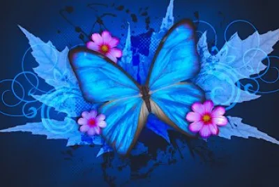 Papillon