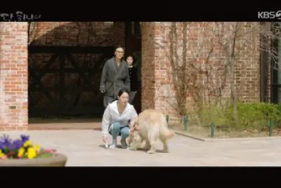 Angel 's last mission: love
