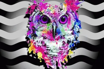 Hibou