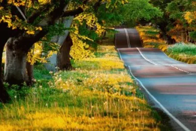 naturaleza jigsaw puzzle